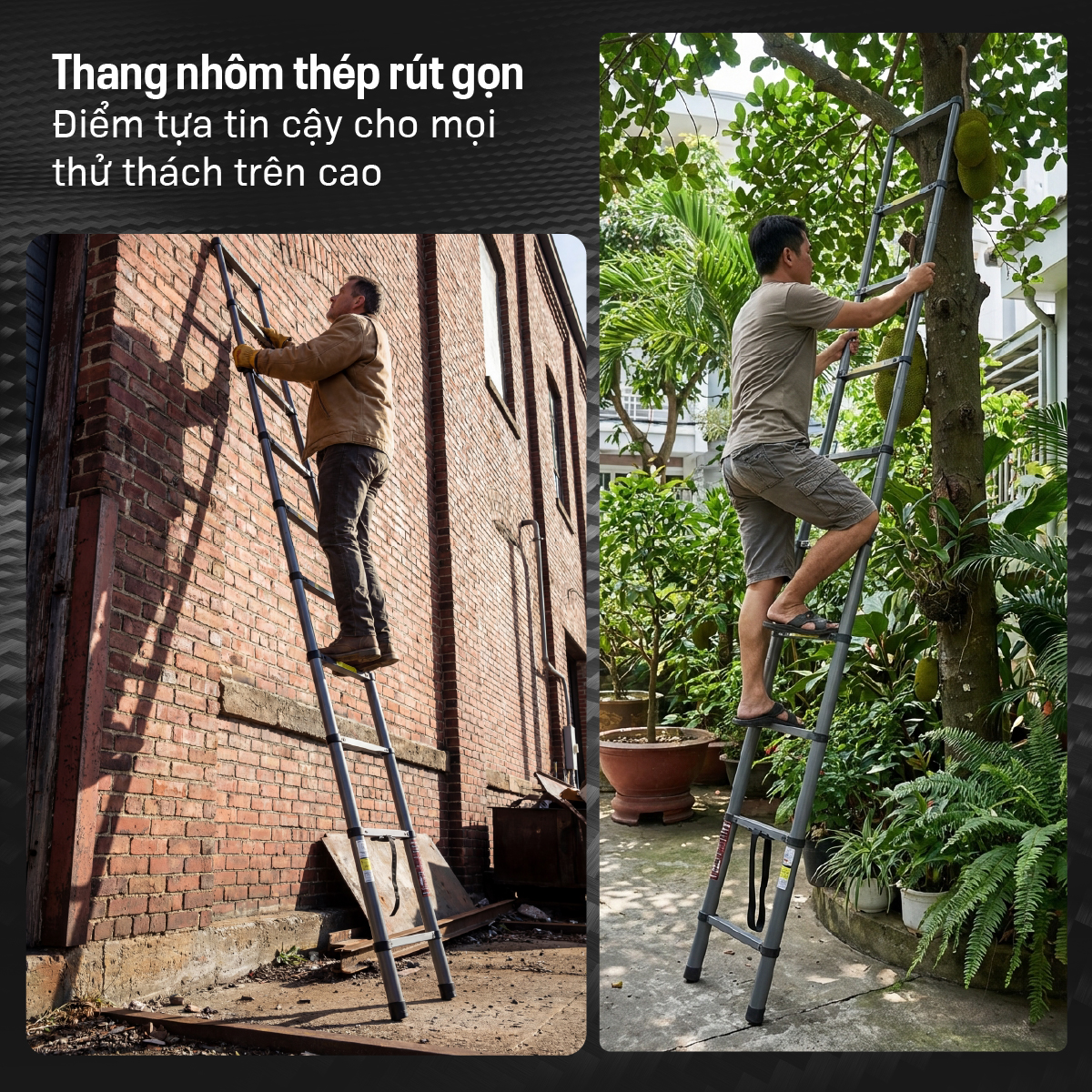 Thang carbon Fujihome STL39