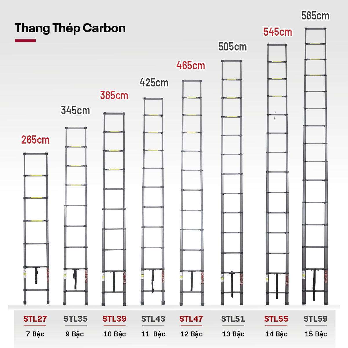 Thang carbon Fujihome STL39