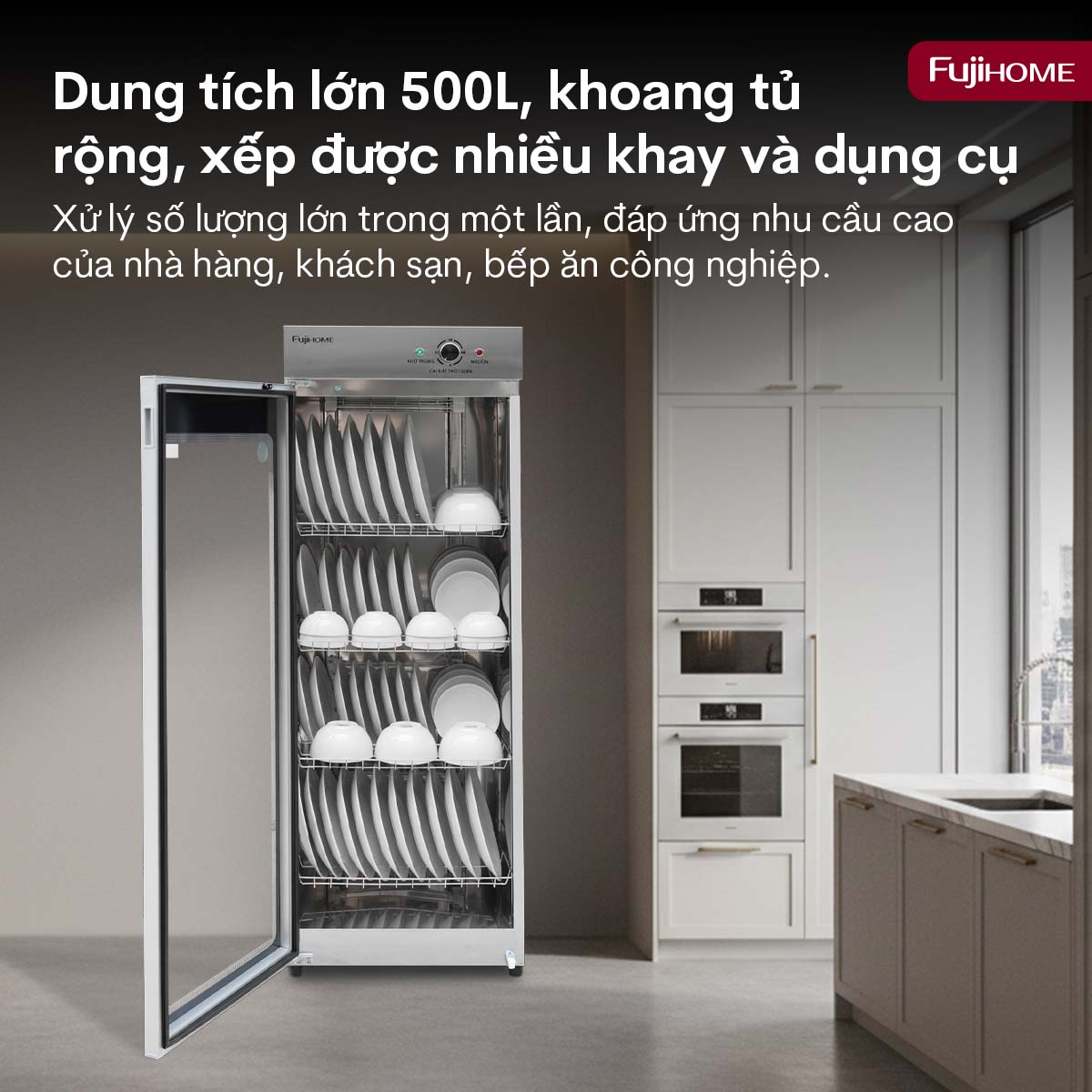 Tủ sấy chén bát tiệt trùng dung tích lớn Fujihome DD300A